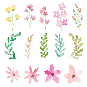 Watercolor flowers and leaves collection
