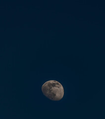 White moon with dark blue sky in Krkonose mountains in spring evening