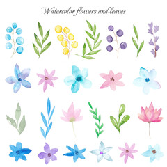 Watercolor flowers and leaves collection
