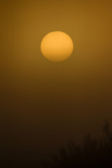 Sol en la niebla al amanecer