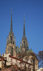 Cathedral of St. Peter and Paul in Brno. Czech republic