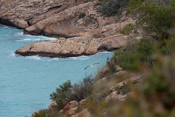 View of the coastline in the Mediterranean Sea in Spain.