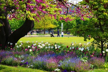 spring in the garden