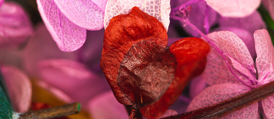 Flower in shape of heart close-up petals banner, background of dried flowers with selective focus