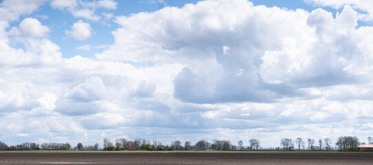 Typical Dutch flat landscape with a plowed field, a row of trees on the horizon and a blue sky with beautiful clouds in the spring. Widescreen picture