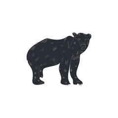 Fototapeta na wymiar bear contour and doodle line vector illustration