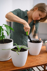 Girl transplanting plants at home in white pots