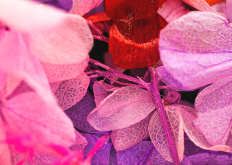 Close-up photo of dried petals, nature and floral background with bright colors, selective focus