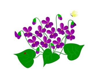 Disegno di una pianta di violette con fiori e farfalla