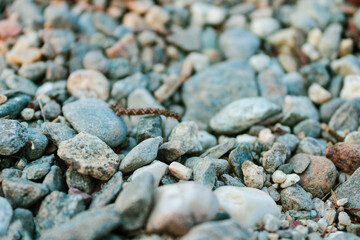 Sea stones background. A pile of stones. Selective Focus. Copy space.
