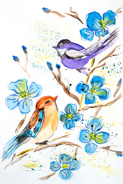 The drawing is made with watercolor paints. Birds and flowers are painted on paper.A pair of birds on a white background.