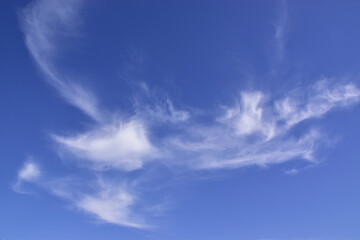 Naklejka na ściany i meble Cirrostratus clouds in the blue spring sky.