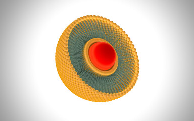 Structure of liposome, phospholipid, cell, 3d render animation. 3D Render illustration
