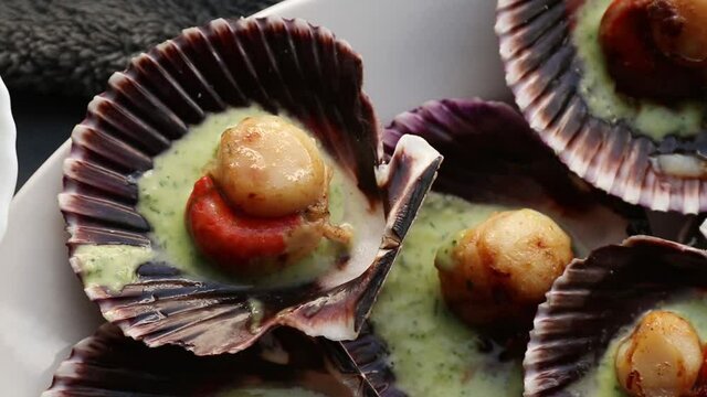 grilled scallops in green sauce on the shell with coriander or parsley, Galician seafood