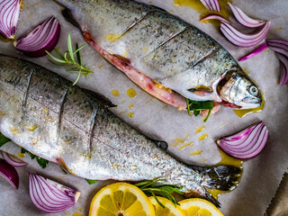 Fresh trouts and vegetables on cooking pan prepared to roast