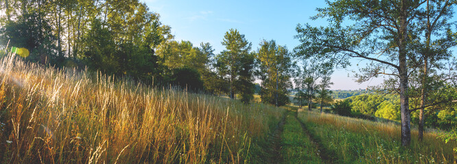 Summer landscape with rural road  and trees during sunny morning
