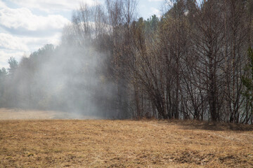 A fire in the forest. Smoke in the forest. The beginning of the fire.