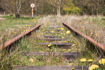 Disused Railway Lines overgrown with weeds and grass