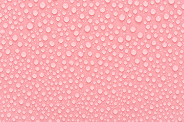 Pure water drops texture on pink background. Abstract background. Fresh water droplets.