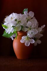 Naklejka na ściany i meble Spring branchs with white flowers, cherry blossoms in the vas