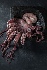 Whole fresh raw octopus on black stone plate, black background. Close up