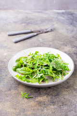 A mixture of fresh arugula, chard and mizun leaves on a plate and forks on the table. Vegetarianism, healthy eating. Vertical view