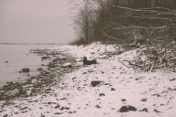 Cloudy winter day near the sea
