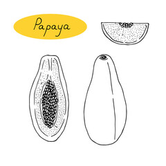 Papaya set, vector illustration, hand drawn sketch