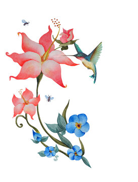 On a watercolor illustration, a beautiful composition of pink and blue flowers with a hummingbird and bees. Illustration executed in traditional сhinese style, isolated on white background.