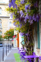 street in the old town of Paris