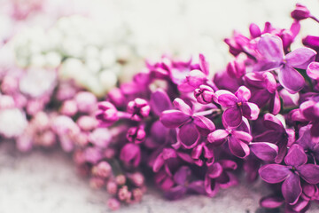Beautiful spring lilac texture background