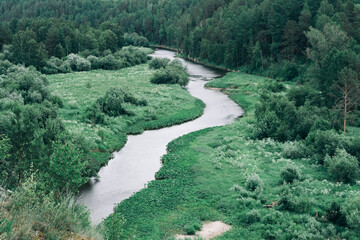 A winding river flows among the forest. The curved stream bed on the green vegetation. Natural landscape
