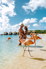 Aruba beach with pink flamingos at the beach, flamingo at the beach in Aruba Island Caribbean. A colorful flamingo at beachfront, couple men and woman on the beach mid age man and woman © Fokke Baarssen