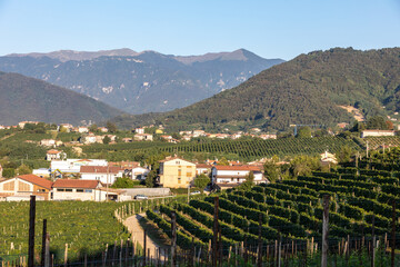 Picturesque hills with vineyards of the Prosecco sparkling wine region in Valdobbiadene, Italy.