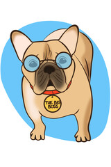 Funny bulldog in sunglasses