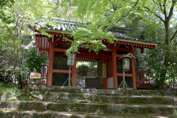 新緑の金蔵寺　仁王門　京都市大原野
