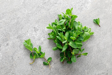 Fresh bunch of mint, top view, copy space © Sea Wave