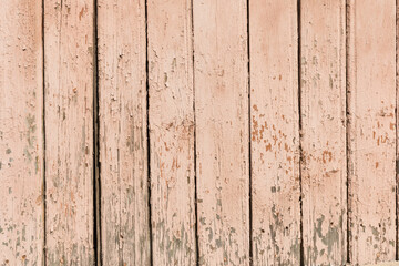Obraz premium The surface is made of vertical old boards with peeling pink paint. Wooden texture