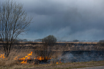 burning dry grass near the highway