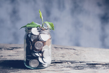 Plant Growing Out Jar Of Coins On Wooden Table - Investment Growth Concep