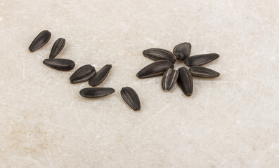 Fototapeta na wymiar Sunflower seeds on a neutral background