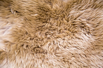 The background is made of brown and white sheep skin with a beautiful pattern of skin fibers....