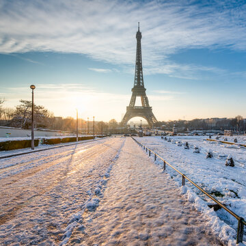 Eiffel Tower seen from Jardins du Trocadero at sunrise, Paris, France