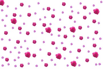 Patrón de rosas para tarjetas de regalos, texturas, día de las madres, bodas, día de la mujer, 8 de marzo, cumpleaños, invitaciones