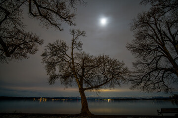 Fototapeta premium Vollmond