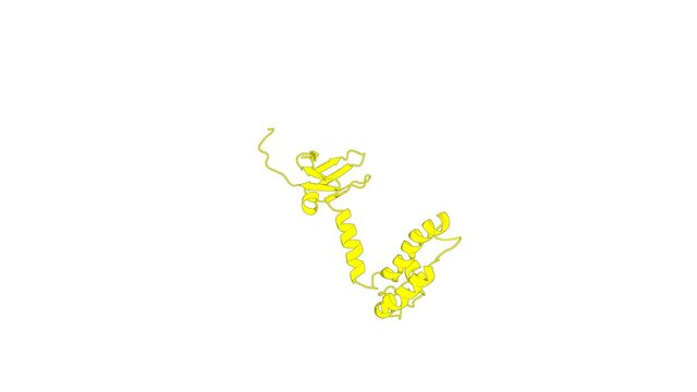 360&ordm; realistic 3D rendering of a biological molecule. Structure and mechanistic insights into novel iron-mediated moonlighting functions of human J-protein cochaperone, Dph4.