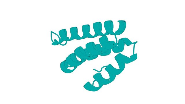 360&ordm; realistic 3D rendering of a biological molecule. NMR structure and dynamics of the C-terminal domain from human Rev1 and its complex with Rev1 interacting region of DNA polymerase eta.