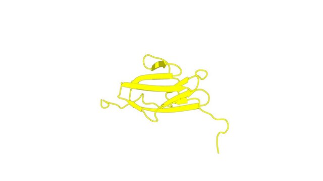 360&ordm; realistic 3D rendering of an animated biological molecule over a white background with alpha mask.  Solution Structure of 2nd Immunoglobulin Domain of Slow Type Myosin-Binding Protein C
