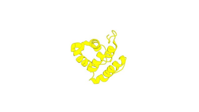 360&ordm; realistic 3D rendering of a biological molecule. Solution structure of the Pyrin (PAAD-DAPIN) domain in human Myeloid cell nuclear differentiation antigen