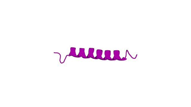 360&ordm; realistic 3D rendering of a biological molecule. Spatial Structure of the M2 Transmembrane Segment of the Nicotinic Acetylcholine Receptor Alpha-Subunit